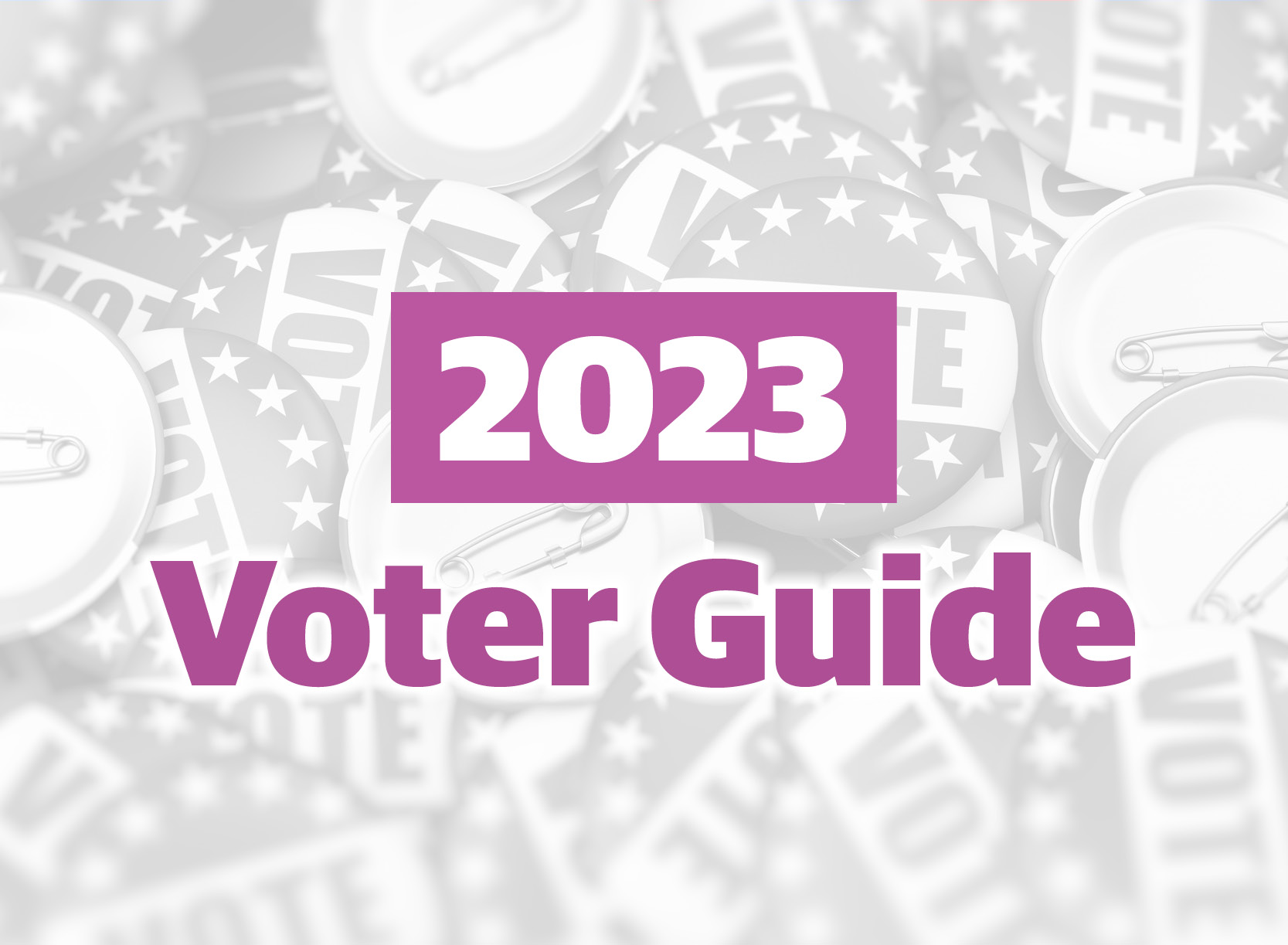 Dallas News 2024 Voter Guide Elsy Norean