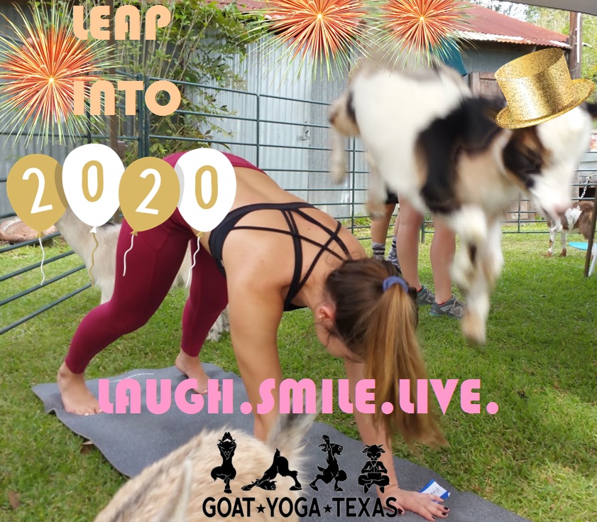 Goat Yoga Texas New Year 2020 Celebration Weekend