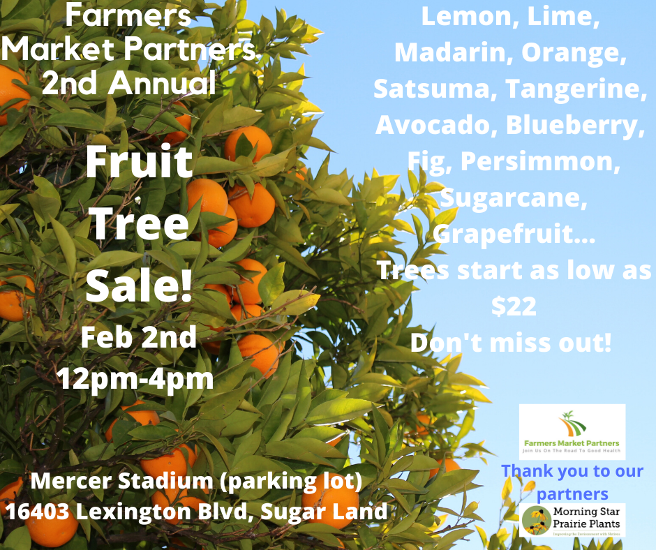 Sugar Land Annual Fruit Tree Sale