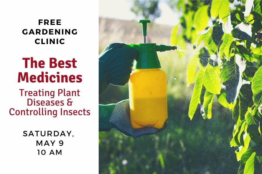 The Best Medicines – Treating Plant Diseases & Controlling Insects