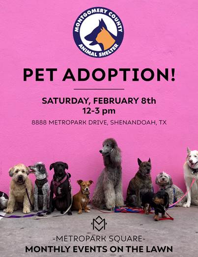 Hearts & Hounds at Metropark Square