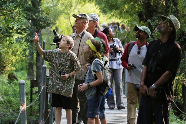 2nd Saturday Bird Walk