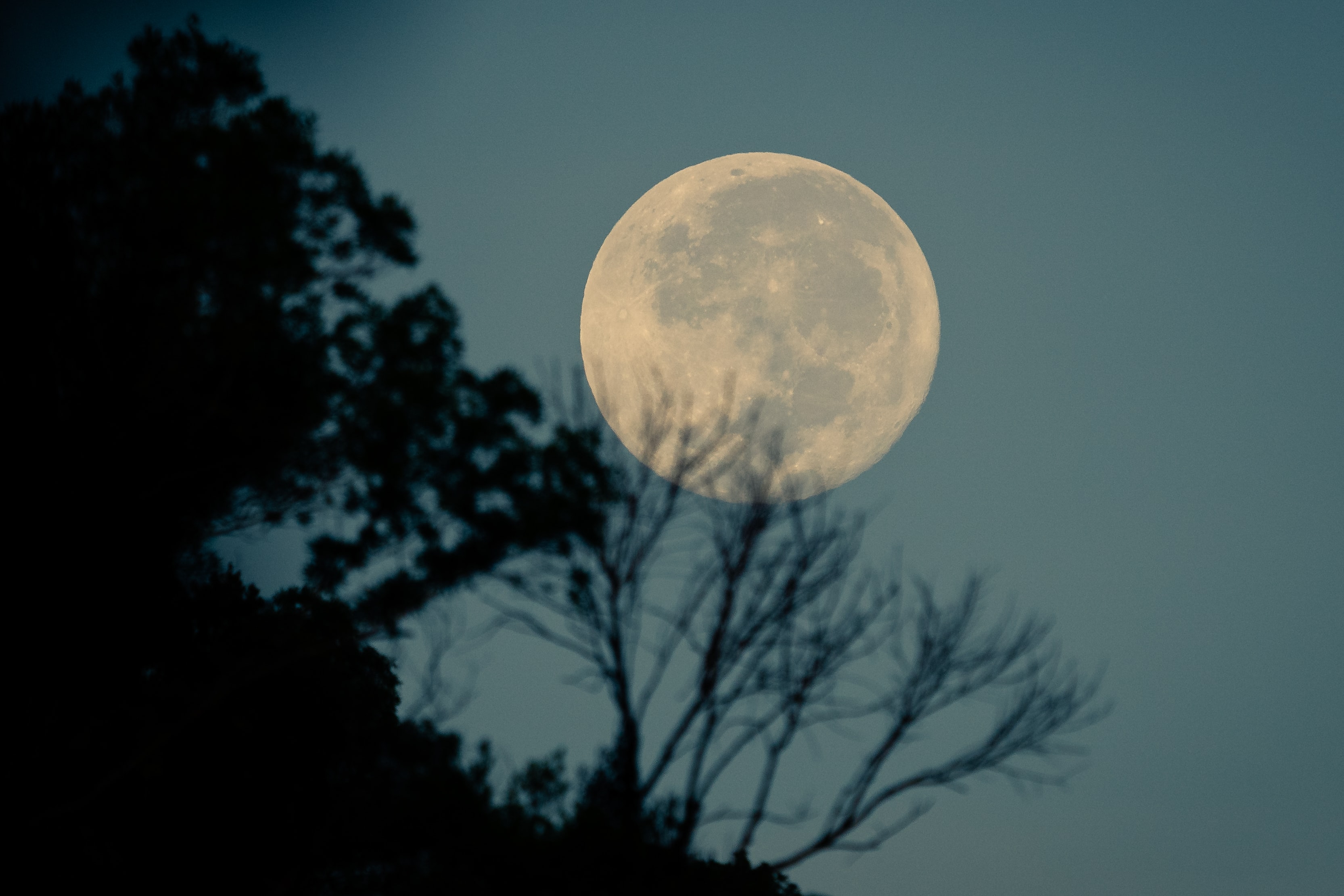 Writing with the Moon - 5 Weekly Sessions 28 Observations & Writing Activities