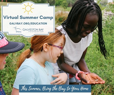 Galveston Bay Foundation Camp at Home Programs