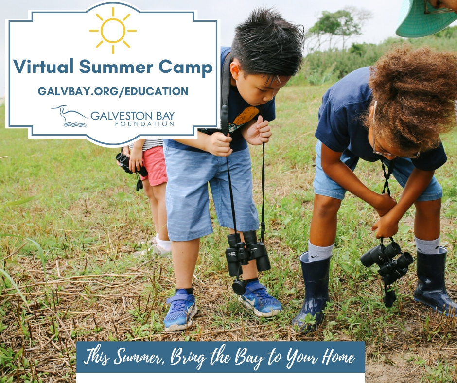 Galveston Bay Foundation Offers Virtual Summer Camps