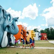 Summer Camp for Kids IRL is OPENING! Scholarships Available.