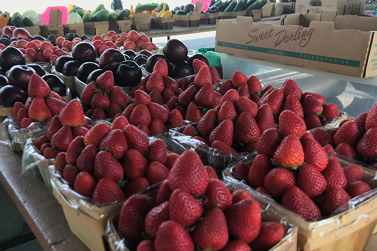 Grapevine Farmers and Artisan Market Extended Through October 31