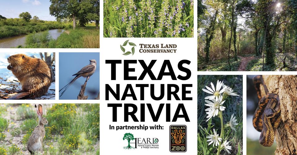 TLC Texas Nature Trivia: Online!
