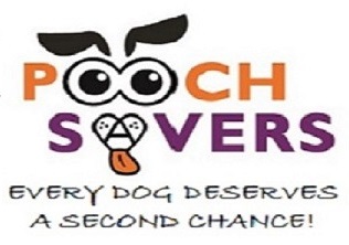 DOG ADOPTION EVENT