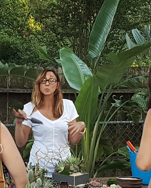 Virtual House Plant Care 101 Class