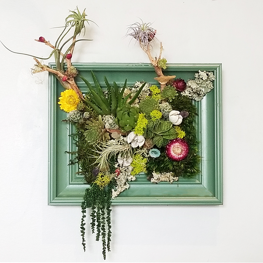 Virtual DIY - Make a Mini Living Wall Class - December 5