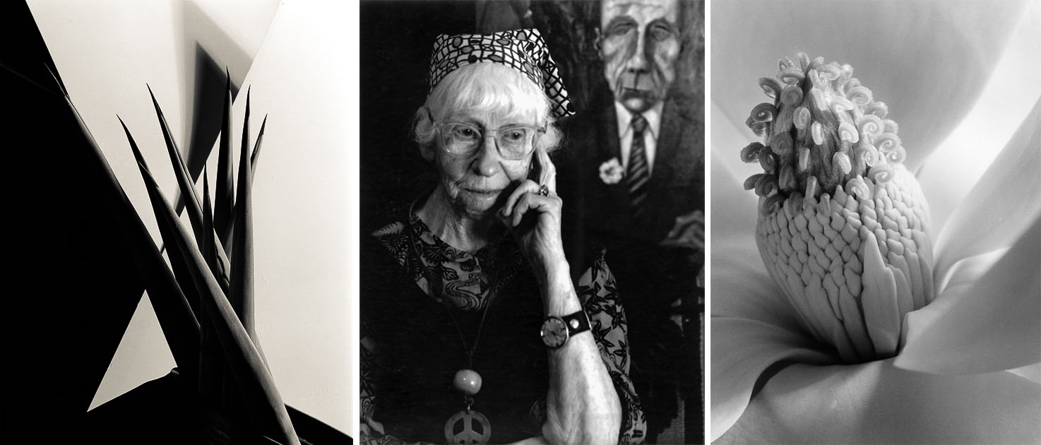 Fifty-Two Photographs by Imogen Cunningham