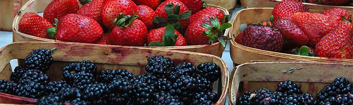 McKinney Farmer’s Market at Chestnut Square