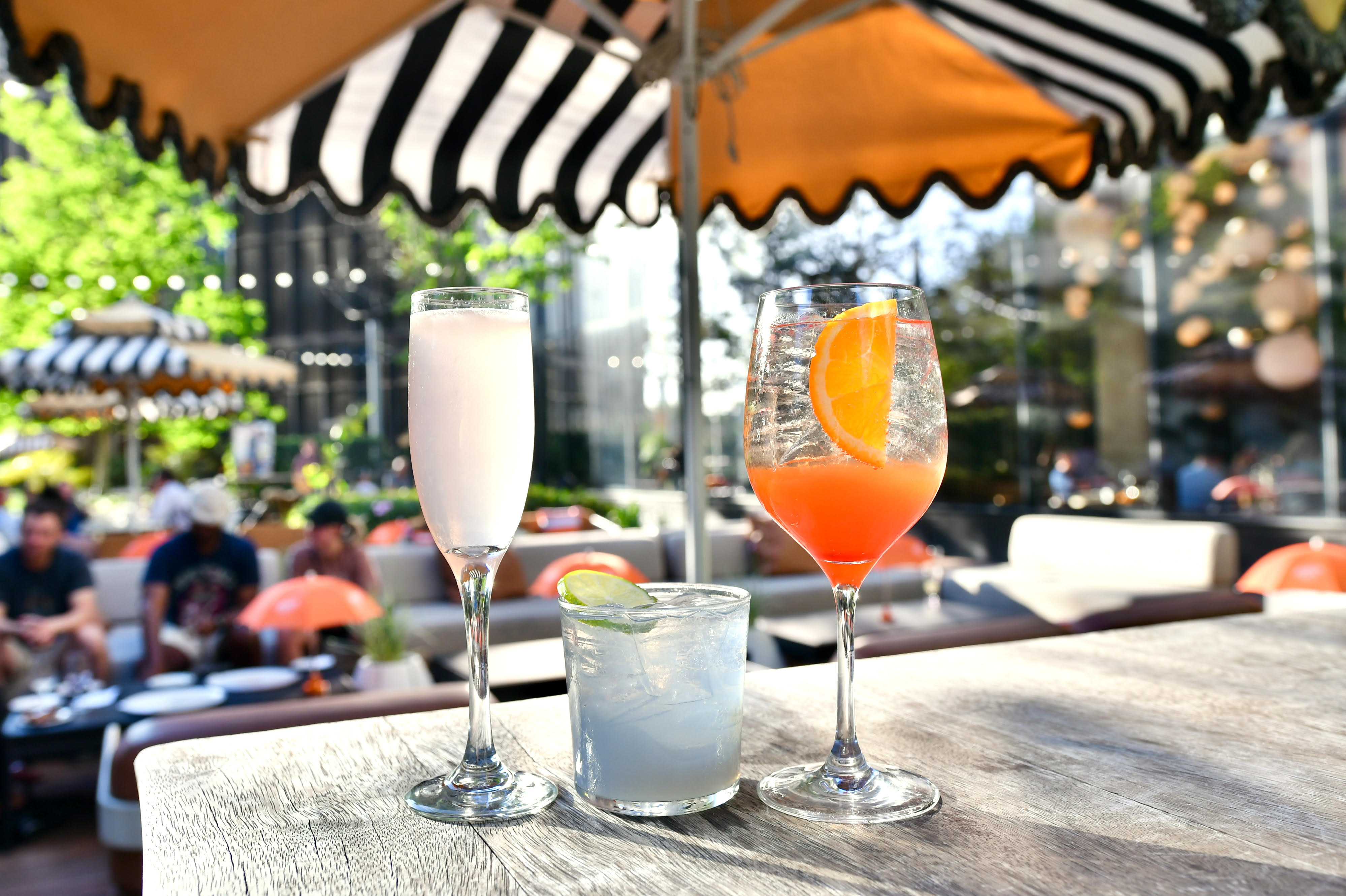 Rosalie Italian Spritz Garden