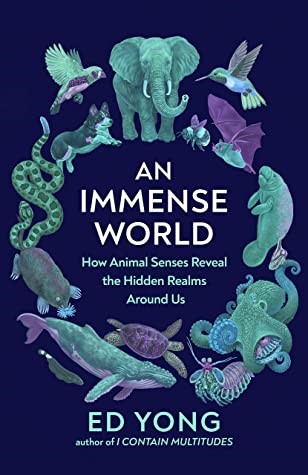 Immense World Book Discussion Group for the Season of Creation