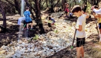 Round Rock ISD is among four Texas school districts awarded the Caudill Award, recognized for its Nature to Neighborhood Studio at Laurel Mountain Elementary School. (Courtesy Round Rock ISD)