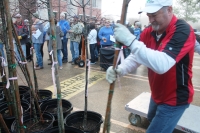 Friendswood tree giveaway