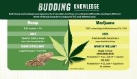 Austin City Council is considering an end to enforcement of low level marijuana possession laws. (SHELBY SAVAGE/COMMUNITY IMPACT NEWSPAPER)