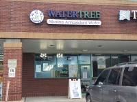 The Water Tree