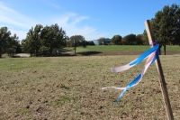 The Campus at Legacy West is an effort to redevelop the grassy slopes of the office campus formerly owned by J.C. Penney into a mixed-use development.
Daniel Houston/Community Impact Newspaper