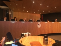 Jordan Ray, Gilbert Town Council
