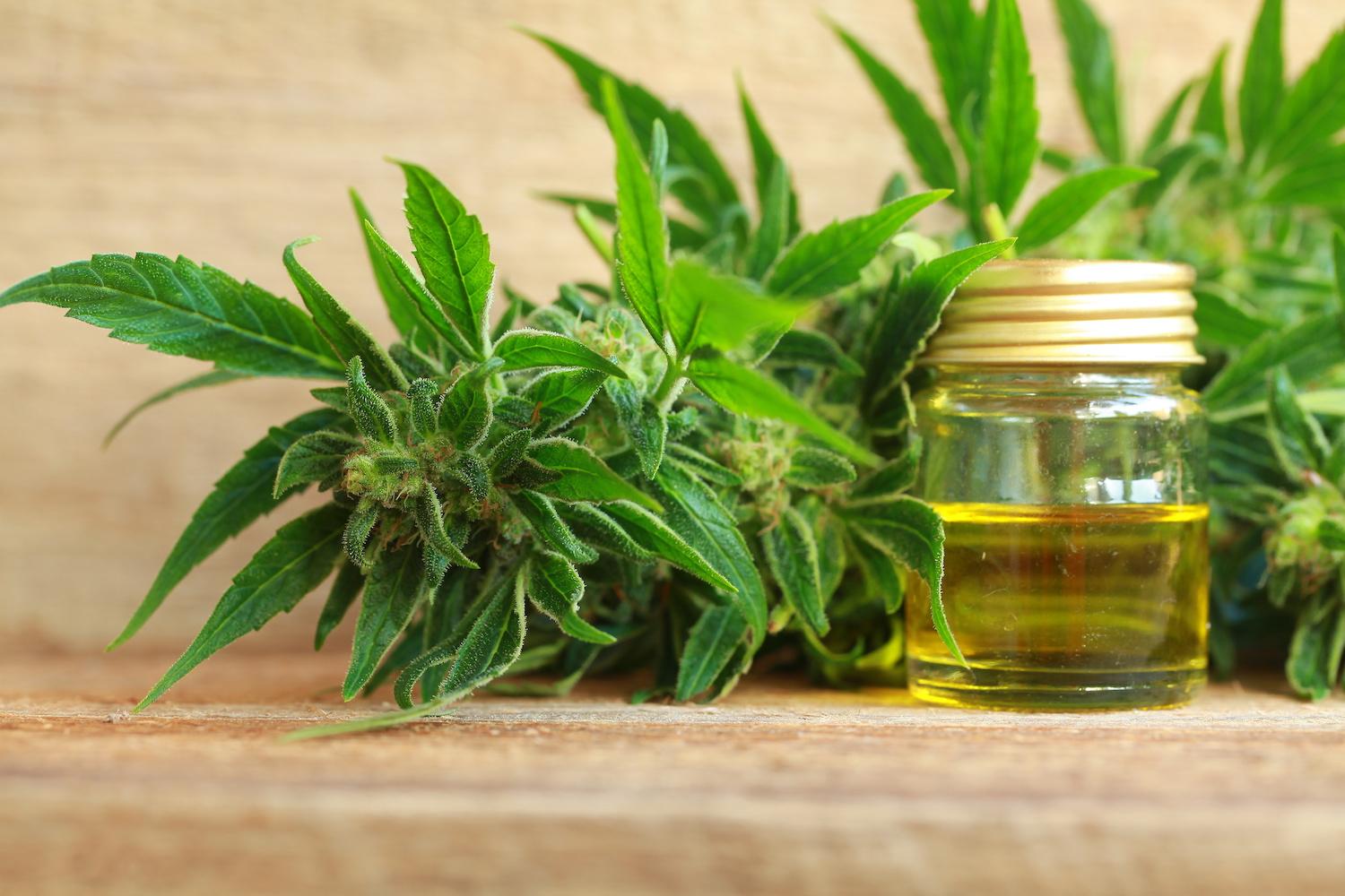 Go Green Botanicals opened in New Braunfels in 2018. (Courtesy Adobe Stock)