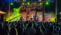 The Wildflower Festival will take place May 15-17. (Courtesy Wildflower! Arts & Music Festival)