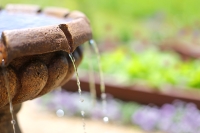 Garden Accents opened on FM 2978 in February. (Courtesy Adobe Stock)