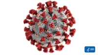 Rendering of COVID-19