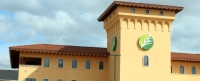 Cedar Park City Council unanimously voted to delay the local election during its March 26 meeting.
