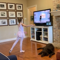Students can take their Dance by Design Studios dance classes live online through Zoom. (Courtesy Dance by Design Studios)