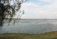 Closures include the lake, fishing piers, pavilion, restrooms and trails around the lake and park. (Community Impact Staff)
