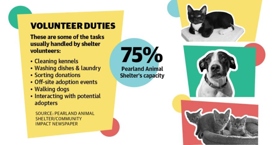 Animal shelters face the consequences of fewer volunteers in the midst of  COVID-19 | Community Impact