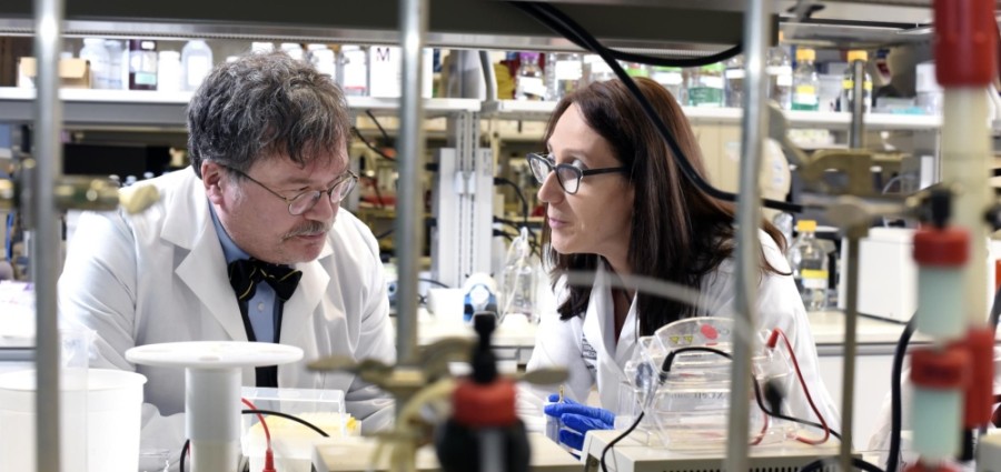 Dr. Peter Hotez and Dr. Maria Elena Bottazzi are co-leading the research team developing a coronavirus vaccine, which now has a licensing agreement with India-based company Biological E. Limited. (Courtesy Baylor College of Medicine)