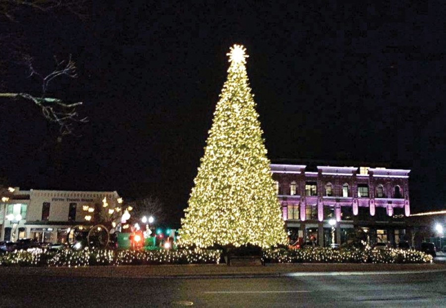 Franklin Christmas Tree Lighting