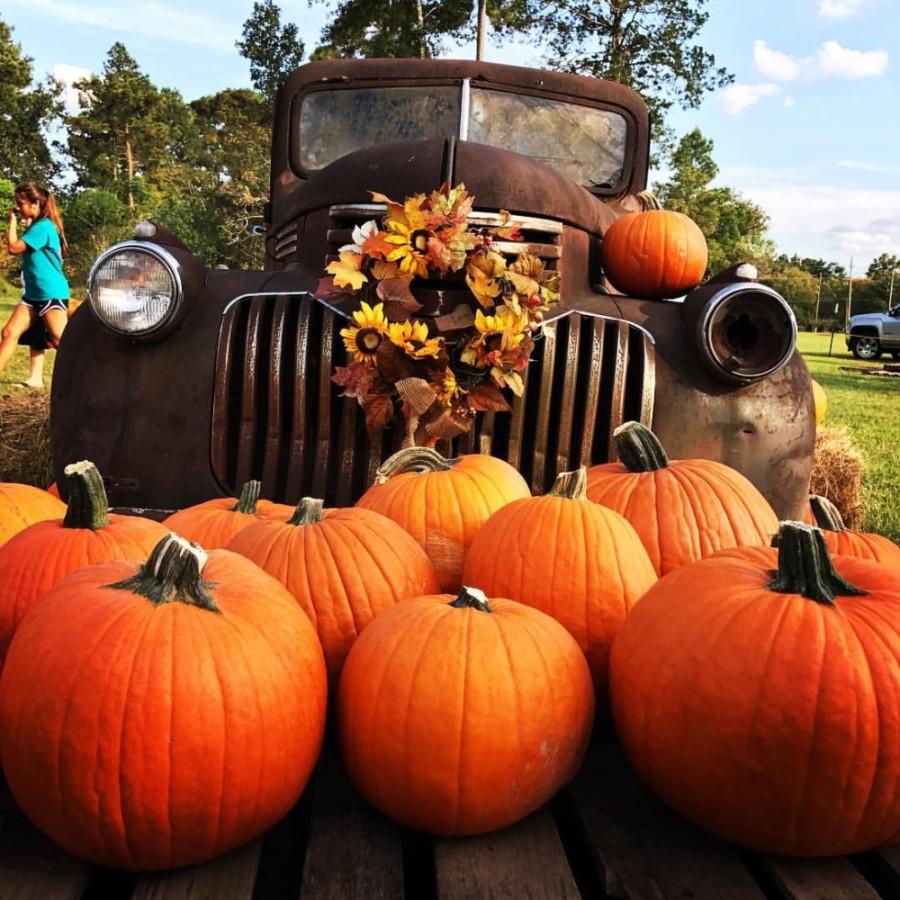 Magnolia's First Baptist Church will host its annual pumpkin patch, featuring food and other activities, such as hay rides, "punkin' chunkin'" and photo opportunities. (Courtesy Magnolia's First Baptist Church)
