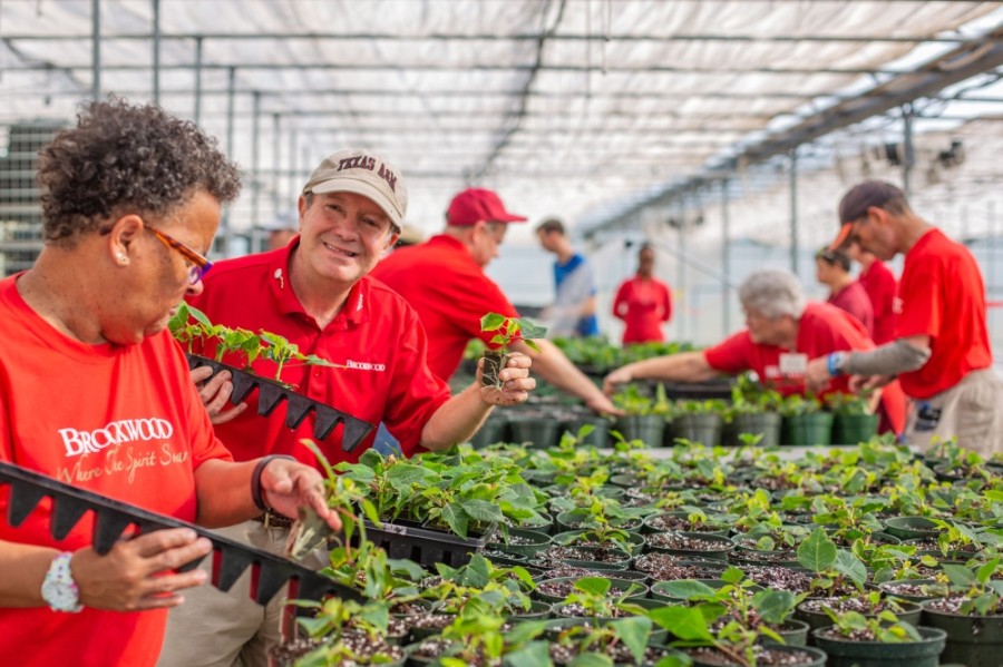 Citizens work at 47 on-campus greenhouses. (Courtesy The Brookwood Community)