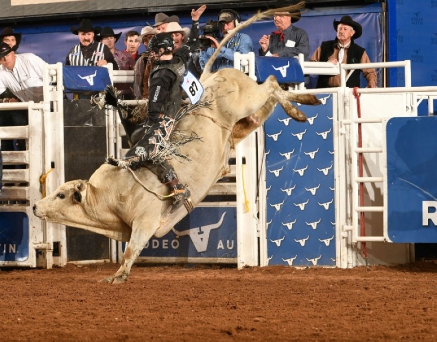 Rodeo Austin and the Round Rock Express hosted a bull-riding event, Bulls in the Ballpark, at Dell Diamond on Nov. 13-14. (Courtesy Rodeo Austin)