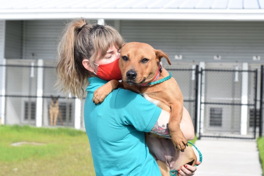 Harris County Pets facilitates pet adoptions, foster placements and more. (Courtesy Harris County Pets)