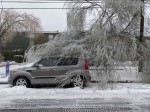 A tree's branches fell on a car in North Austin in the midst of Winter Storm Uri in February. With downed tree limbs and burst water lines causing property damage across Austin, the city has directed additional funds into programs to help some homeowners with emergency home repairs. (Iain Oldman/Community Impact Newspaper)