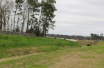The Texas Water Development Board granted the city of Houston funds to improve Taylor Gully, a portion of which is pictured here. (Kelly Schafler/Community Impact Newspaper)