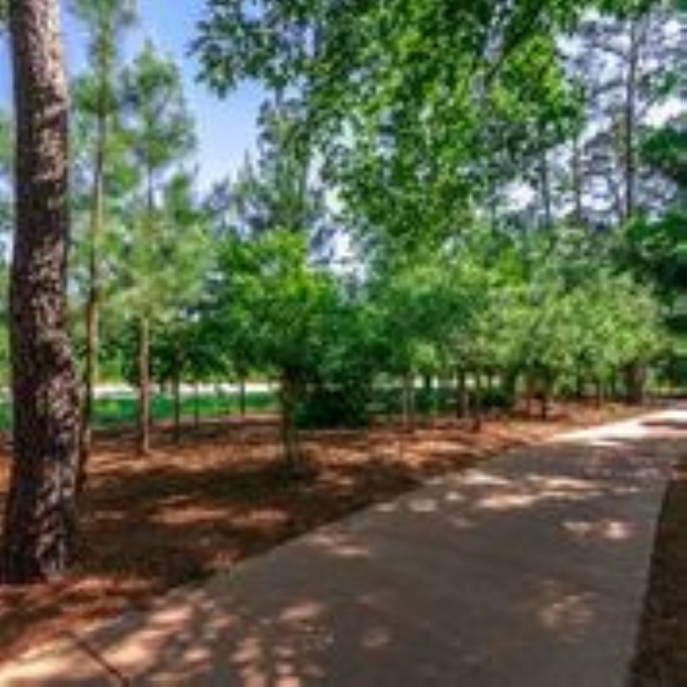 A new 3-mile trail in Spring Creek Greenway will run from Rothwood Park to Springwood Village’s 150-acre nature preserve. (Courtesy of Springwood Village)