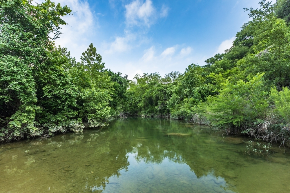 The San Marcos River Foundation received an endorsement from the city for a funding application to the Hays County Parks and Open Spaces Advisory Committee. (Courtesy Pierce Ingram for The Nature Conservancy)