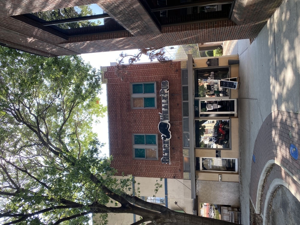 The Black Whale Pub is housed in a building on the main plaza. (Eric Weilbacher/Community Impact Newspaper)