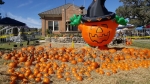 Kyle Center Street Trick-or-Treat will be held Oct. 23. (Courtesy city of Kyle)