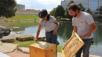 two beekeepers opening a hive