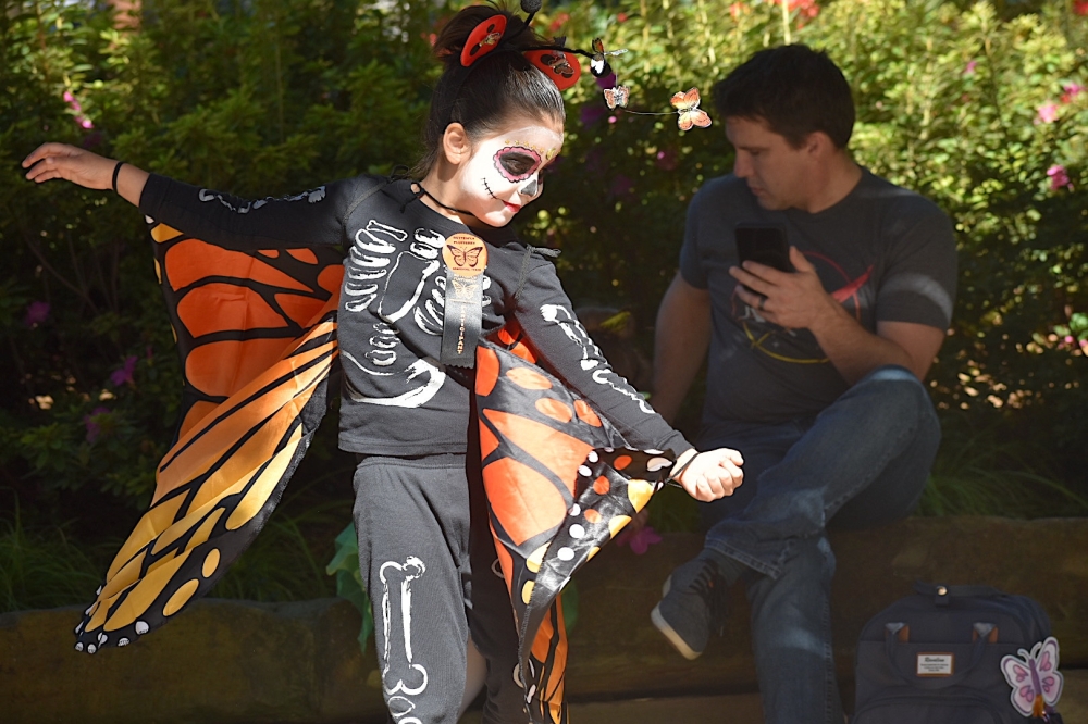 Aurelia Flowers dances in her butterfly-themed Halloween costume at Butterfly Flutterby. (Anjali Krishna/Community Impact Newspaper)