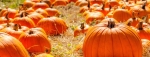 There are a number of ways to enjoy fall in the Lake Houston area, whether checking out a family-friendly festival, facing fears at a spooky haunted house or getting out into nature to enjoy the weather. (Courtesy Fotolia)