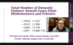 Harris County District Attorney Kim Ogg outlines the current domestic violence situation in the county during an Oct. 27 web panel. (Community Impact Newspaper via Harris County District Attorney's Office)