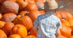 One event to attend in Katy this weekend is the Halloween Fun Fest. (Photo courtesy Canva)